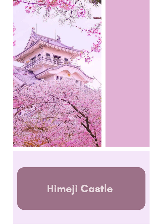 Himeji Castle le printemps au Japon - Fingering - Mérinos Nylon