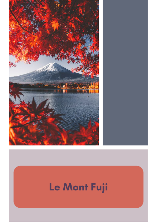 Précommande Mont Fuji l'automne au Japon - Fingering - Mérinos Nylon