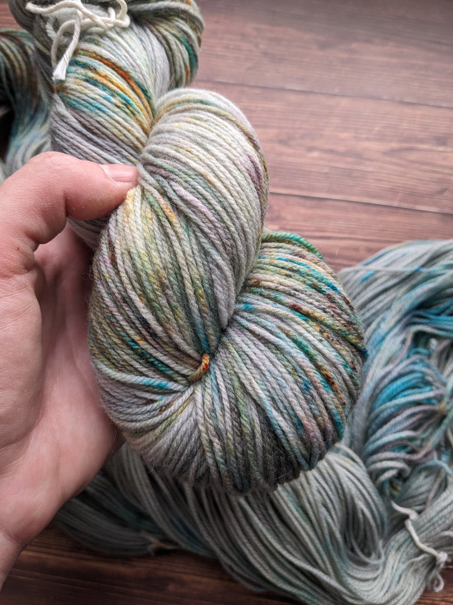 Echeveau Lyl Frenchy mérinos d'arles NSW – Fingering – Coloris Une Journée à Rambouillet