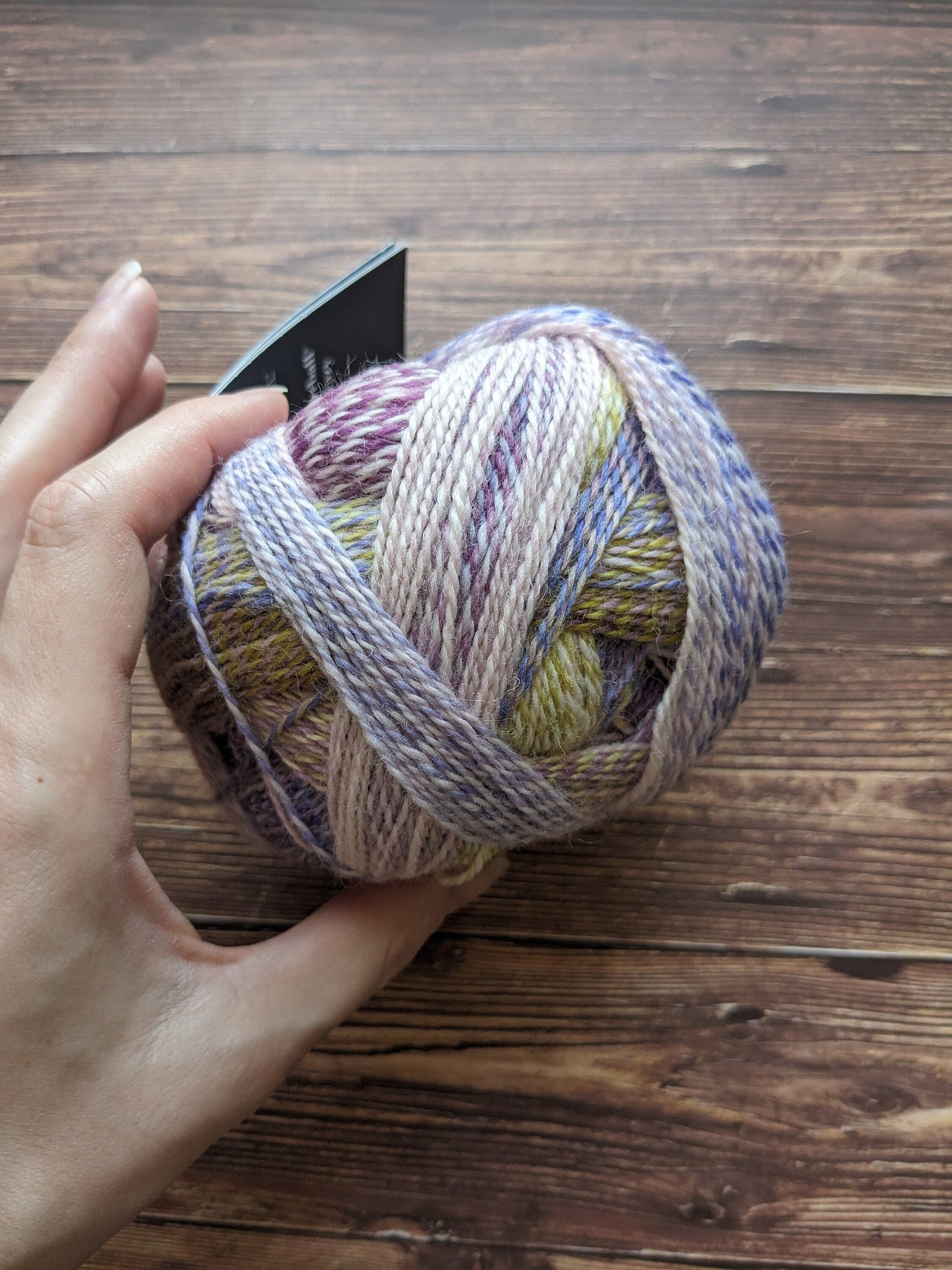 Crazy Zauberball – Schoppel Wolle - Coloris Lockstoff 2473