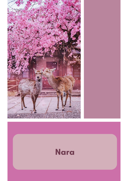 Nara le printemps au Japon - Fingering - Mérinos Nylon