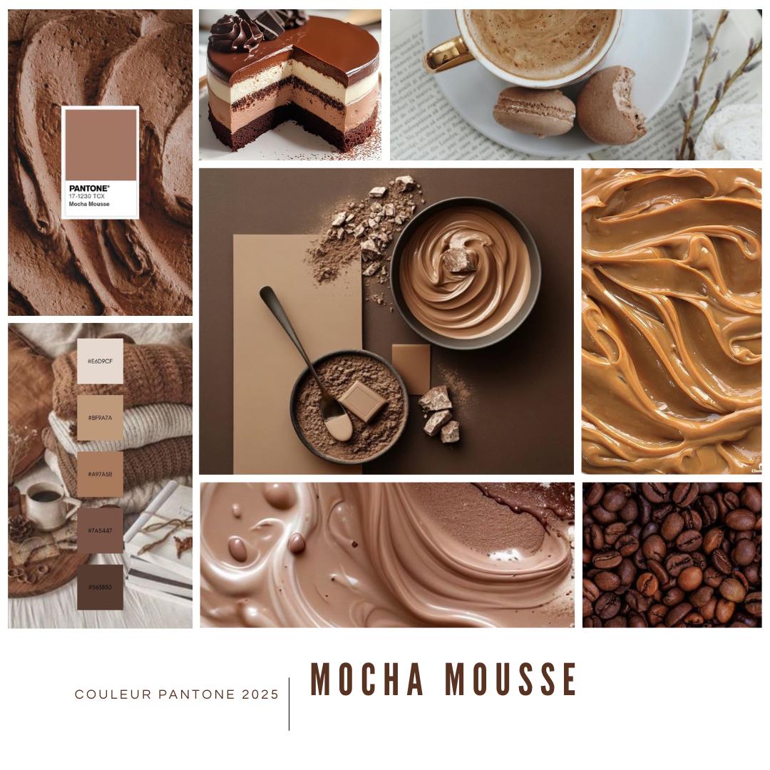 Echeveaux Lyl Frenchy - Merinos d'Arles NSW - Fingering - Coloris Mocha Mousse Pantone 2025