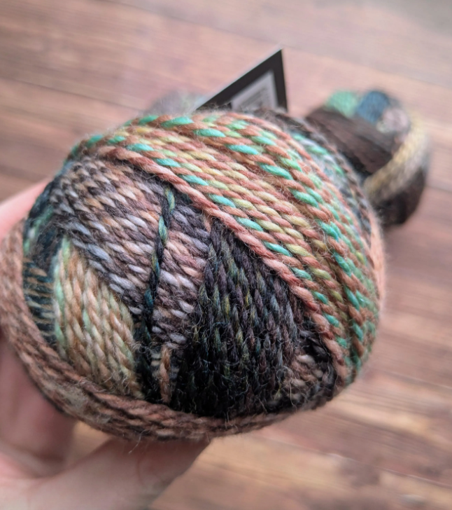 Edition 3 - Schoppel Wolle - Coloris 2513 Puppy-Eyed