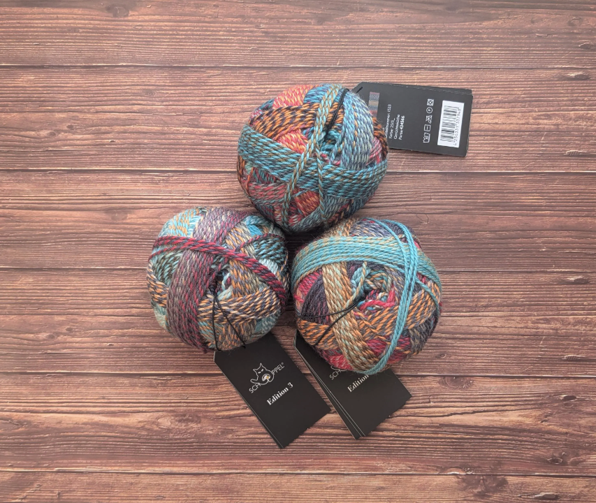 Edition 3 - Schoppel Wolle - Coloris Rumor Mill 2515