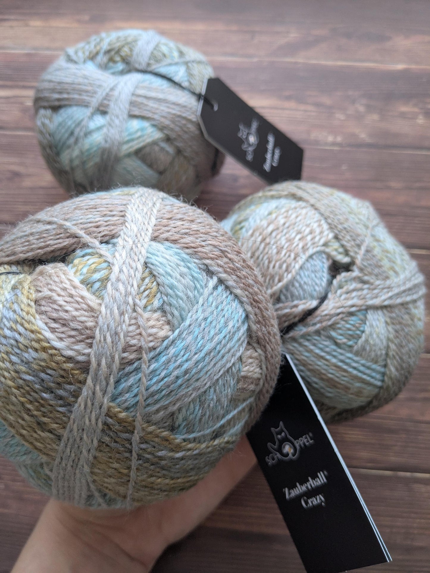 Crazy Zauberball – Schoppel Wolle - Coloris Freilichtspiel 2690