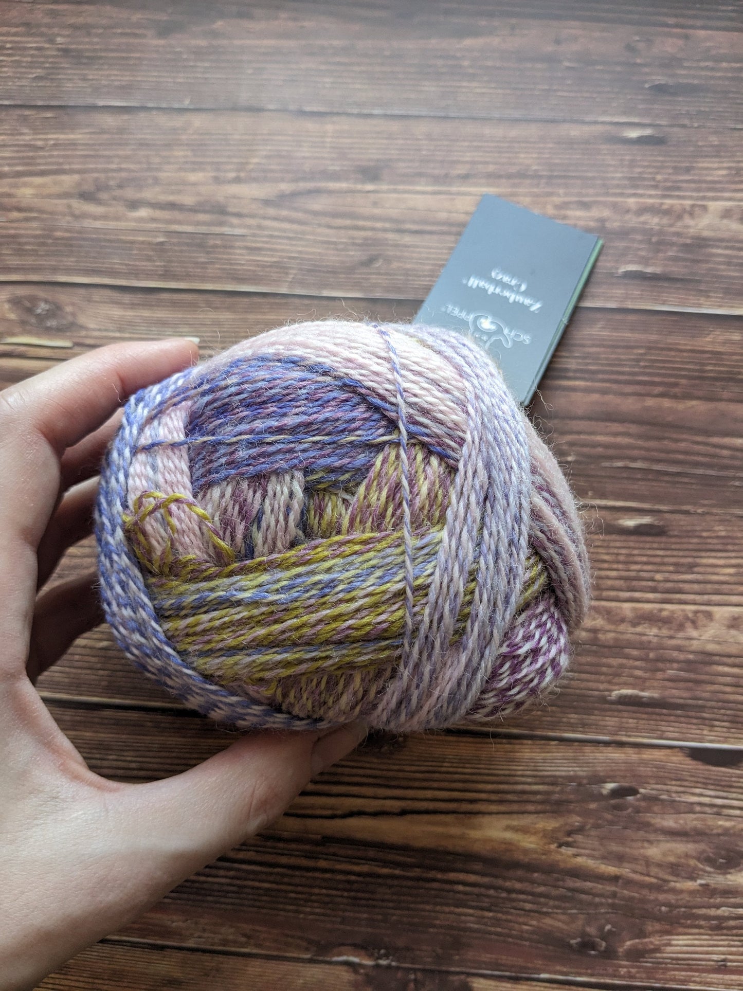 Crazy Zauberball – Schoppel Wolle - Coloris Lockstoff 2473